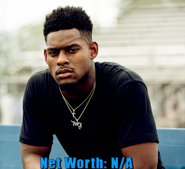 Image of American football wide receiver, JuJu Smith-Schuster net worth is currently not available